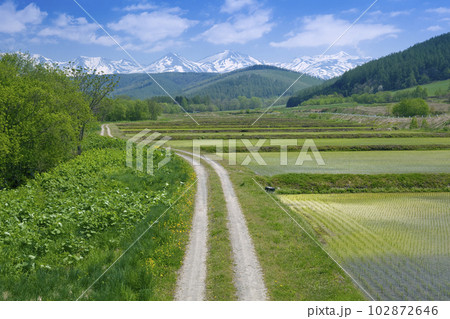 農道と田園と石狩山地 102872646