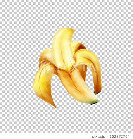 Banana Banana 102872794