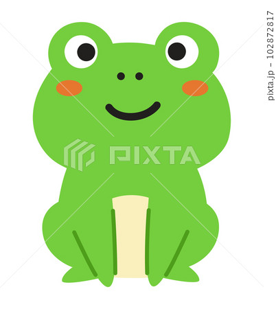 かわいいカエルの全身イラスト かわいいカエルの全身イラスト 102872817