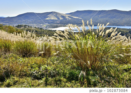 道志山塊の大平山の草原より鉄砲木ノ頭（明神山）と三国山稜と山中湖を望む 102873084