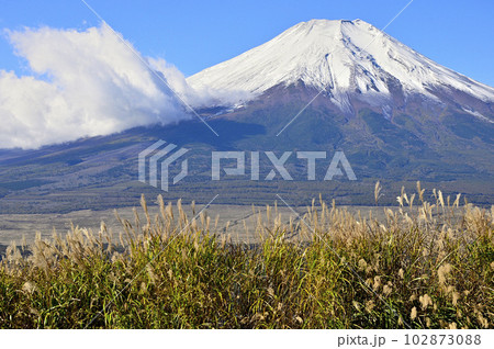道志山塊の大平山山頂のススキに富士山 102873088