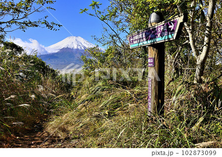 道志山塊の飯盛山山頂より望む富士山 102873099