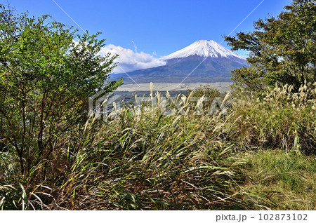 道志山塊の長池山山頂より富士山を望む 102873102