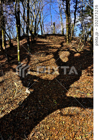 丹沢山地の甲相国境尾根　西沢ノ頭（西沢根丸）山頂 102873236