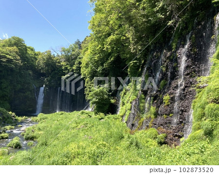 初夏新緑の白糸の滝 102873520