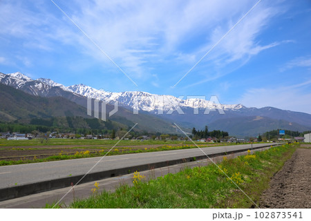 《長野県》春の白馬村神城　新緑の山麓と残雪の白馬三山 102873541