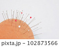針山 102873566
