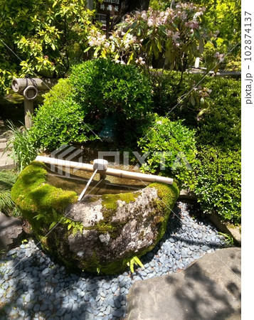 木曽福島の名勝　初夏の興禅寺　日本一広い石庭 102874137