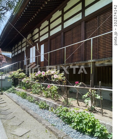 木曽福島の名勝 初夏の興禅寺 日本一広い石庭 木曽福島の名勝 初夏の興禅寺 日本一広い石庭 102874142