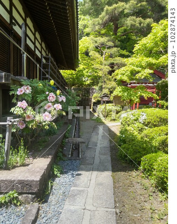 木曽福島の名勝　初夏の興禅寺　日本一広い石庭 102874143