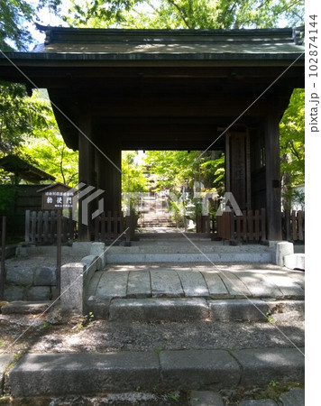 木曽福島の名勝　初夏の興禅寺　日本一広い石庭 102874144