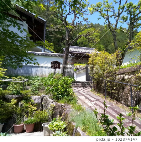 木曽福島の名勝 初夏の興禅寺 日本一広い石庭 木曽福島の名勝 初夏の興禅寺 日本一広い石庭 102874147