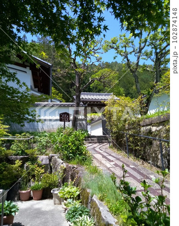 木曽福島の名勝 初夏の興禅寺 日本一広い石庭 木曽福島の名勝 初夏の興禅寺 日本一広い石庭 102874148