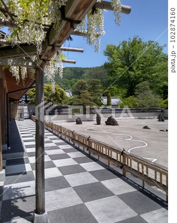 木曽福島の名勝 初夏の興禅寺 日本一広い石庭 木曽福島の名勝 初夏の興禅寺 日本一広い石庭 102874160