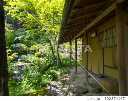 木曽福島の名勝 初夏の興禅寺 日本一広い石庭 木曽福島の名勝 初夏の興禅寺 日本一広い石庭 102874167