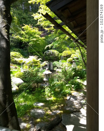 木曽福島の名勝 初夏の興禅寺 日本一広い石庭 木曽福島の名勝 初夏の興禅寺 日本一広い石庭 102874169