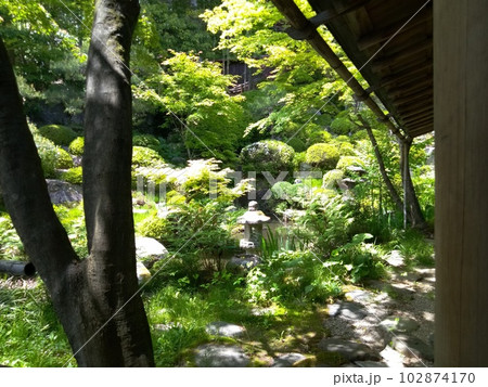木曽福島の名勝 初夏の興禅寺 日本一広い石庭 木曽福島の名勝 初夏の興禅寺 日本一広い石庭 102874170