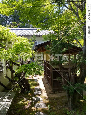 木曽福島の名勝　初夏の興禅寺　日本一広い石庭 102874171