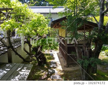 木曽福島の名勝　初夏の興禅寺　日本一広い石庭 102874172