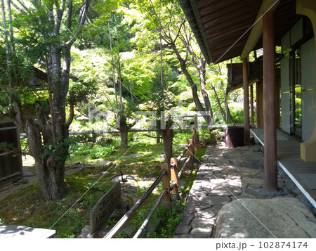 木曽福島の名勝　初夏の興禅寺　日本一広い石庭 102874174