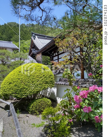 木曽福島の名勝 初夏の興禅寺 日本一広い石庭 木曽福島の名勝 初夏の興禅寺 日本一広い石庭 102874183
