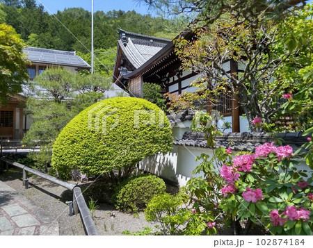 木曽福島の名勝 初夏の興禅寺 日本一広い石庭 木曽福島の名勝 初夏の興禅寺 日本一広い石庭 102874184