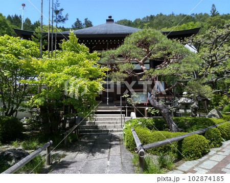 木曽福島の名勝　初夏の興禅寺　日本一広い石庭 102874185