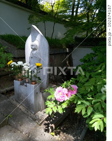 木曽福島の名勝 初夏の興禅寺 日本一広い石庭 木曽福島の名勝 初夏の興禅寺 日本一広い石庭 102874187