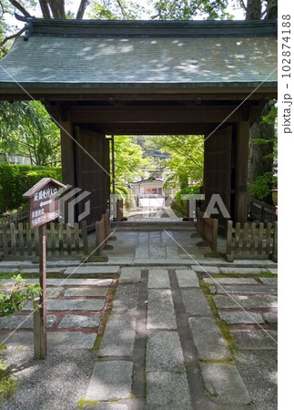 木曽福島の名勝　初夏の興禅寺　日本一広い石庭 102874188