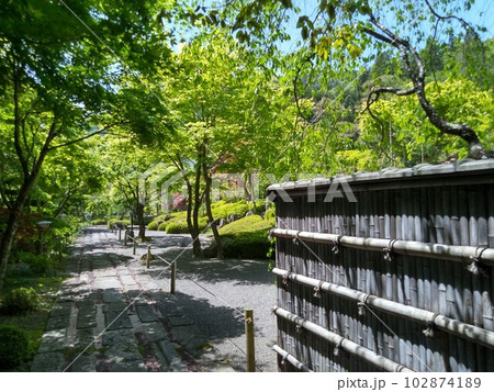 木曽福島の名勝　初夏の興禅寺　日本一広い石庭 102874189