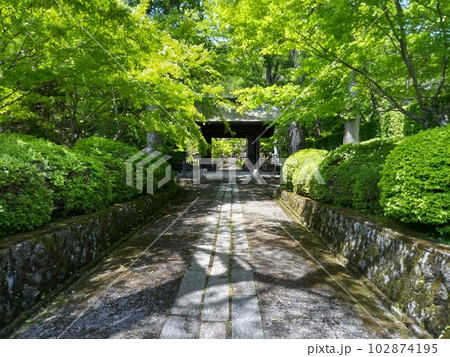 木曽福島の名勝　初夏の興禅寺　日本一広い石庭 102874195