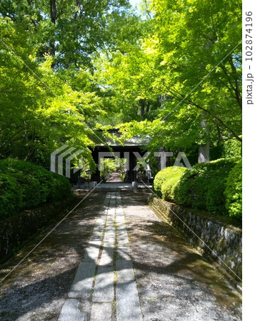 木曽福島の名勝　初夏の興禅寺　日本一広い石庭 102874196