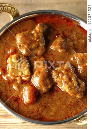 鶏肉入りスパイシーインドカレーを俯瞰で撮影 102874523