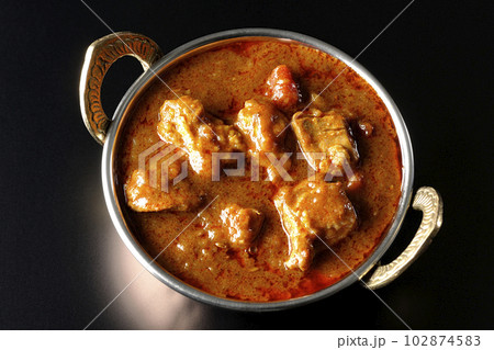 鶏肉入りスパイシーインドカレーを黒背景で俯瞰撮影 鶏肉入りスパイシーインドカレーを黒背景で俯瞰撮影 102874583