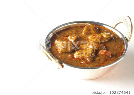 鶏肉入りスパイシーインドカレーを白背景で撮影 102874641