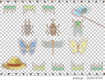 捉蟲子和收集昆蟲（彩色） 102874754