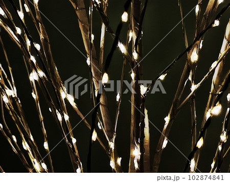 fairy lights on branches 102874841