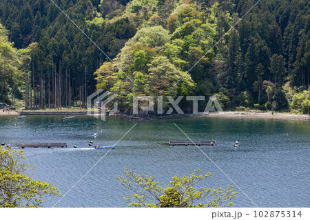 気仙沼大島の大島瀬戸カキ養殖 気仙沼大島の大島瀬戸カキ養殖 102875314