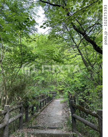岐阜県・鬼岩公園内の風景 102875393