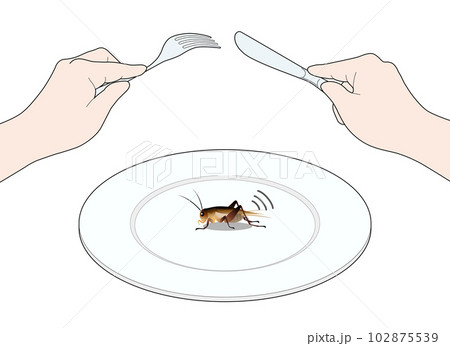 昆虫食 102875539