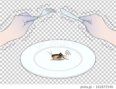 昆蟲食品 102875540