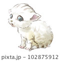 スナネコの赤ちゃん 102875912