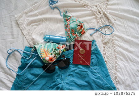 南国へバケーション 南国へバケーション 102876278