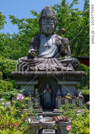 新緑の壷阪寺　めがね供養観音② 102877099