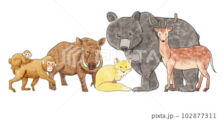 沢山の野生動物が集まっているイラスト 102877311