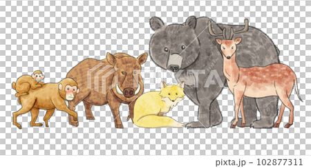 沢山の野生動物が集まっているイラスト 102877311