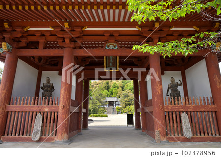 聖徳太子御廟所 叡福寺の山門(大阪府南河内郡太子町) 聖徳太子御廟所 叡福寺の山門(大阪府南河内郡太子町) 102878956