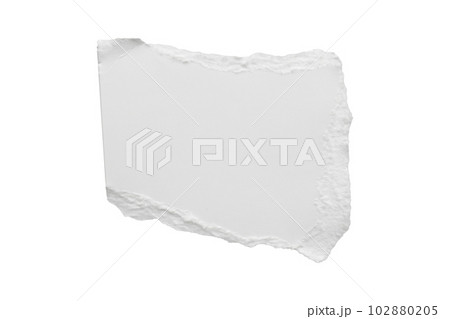 White ripped paper torn edges strips isolated on white background White ripped paper torn edges strips isolated on white background 102880205