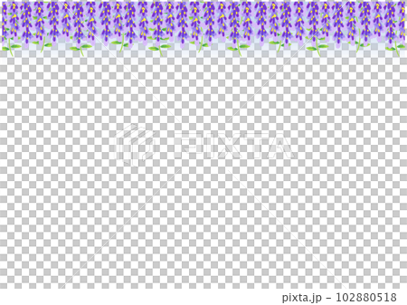 Hand drawn vector illustration of wisteria flowers 102880518