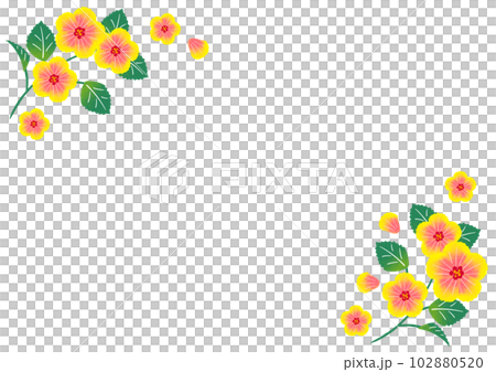 Summery hibiscus hand drawn vector illustration 102880520